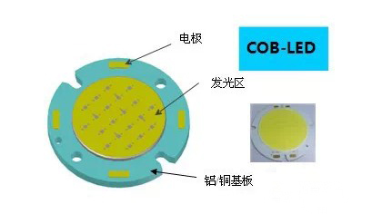模組fpc